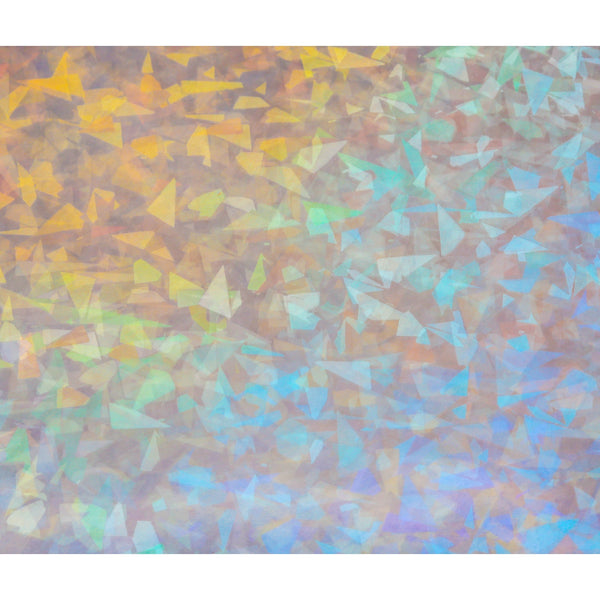 Holographic Outer Sleeves